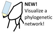 Draw a phylogenetic network!